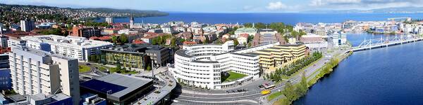 Rektor till Jönköping University
